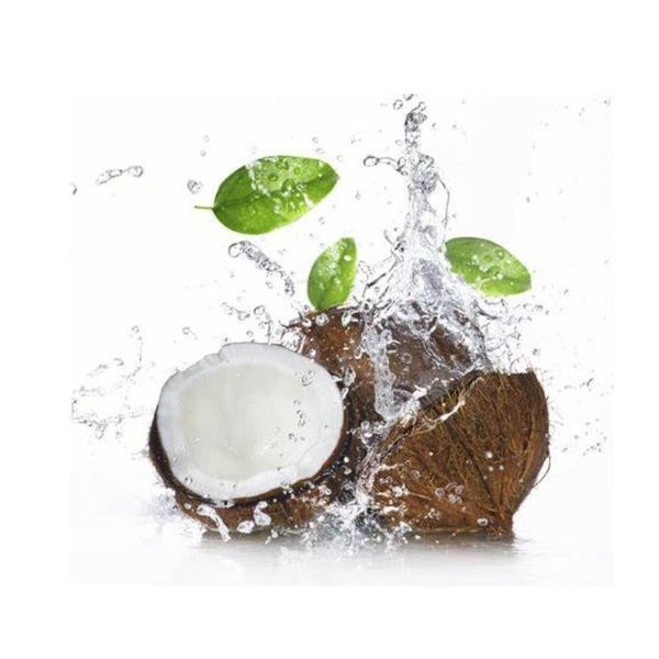 Shelf Life 3 Years With Seal New Quality Common Organic Normal Feature Sterilized 100Kg Indonesia Flexy Bag Coconut Water