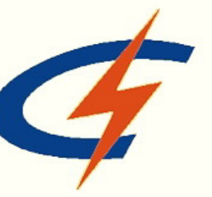 Company icon