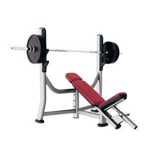 Life Fitness Commercial Gym Accessories Incline Bench with Anti-Slip Belt