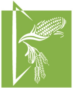 Company icon