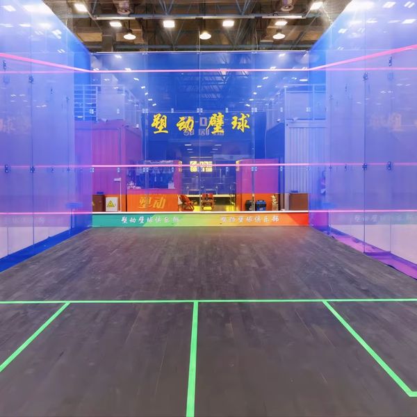 Worldwide Popular Sports Indoor Safety Building Singles Squash Court for Sale