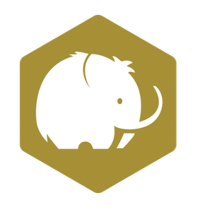 Company icon