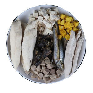 OEM Bulk 100% Original Natural Freeze-Dried Dehydrated Duck Chicken Salmon Cube No Additives Dog Treat