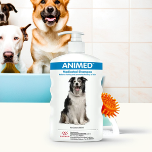 Good Pet Grooming Shampoo Animed Medicated Formula for Dogs Healthy Coat Anti-Itch Solution