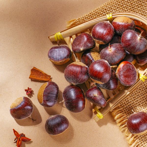 New Crop Fresh Sweet Chestnuts From Shandong - ( Delicious , Sweet )