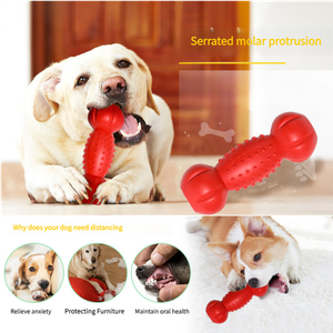 Top Selling Interactive TPR Material Outdoor Water Floating Dog Training Pet Chew Toys Cute Eco-Friendly Design Wholesale