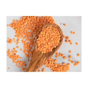 High Quality Whole Sale Red Lentils Dried Style in Bulk Packaging