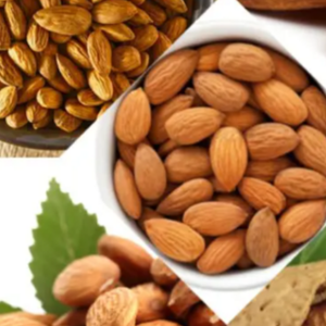 Wholesale Supplier Best Quality Walnuts For Sale In Cheap Price