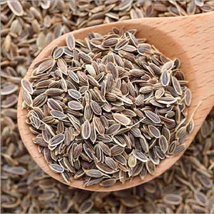 Top Manufacturer's Most Selling 100% Pure Culinary Dill Seeds Fresh Dried Machine Cleaned Split Pattern Single Herb Spices