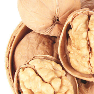 Wholesale Best Walnuts Sell Premium Organic Walnuts Walnuts Without Shell