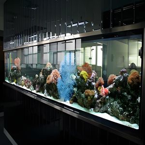 White Ultra Clear Glass Fiberglass Aquarium Fish Tank Accessory Bullet Screen Two Piece Plastic Sheet Product
