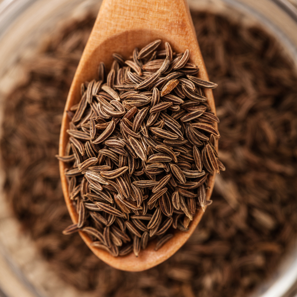High Quality Fresh Dried Cumin Seed Herb High-Aromatic Raw Spice Powder Bulk Supply Single Spices Herbs for Global