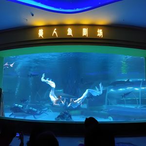 XINXUNLIN Factory-Bendable/Cuttable Transparent Acrylic Sheet Outdoor Use Plastic Sheets for Aquarium Fish Tank Advertising MMA