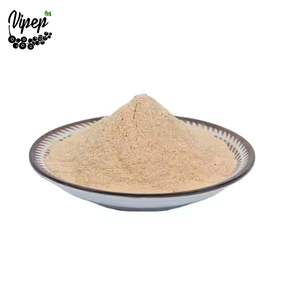 Organic Natural Dried Onion Powder in Bulk Single Spices & Herbs