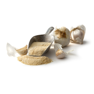 High Quality Vietnamese Brand Garlic Powder Seasoning Dried Herb and Spice Halal Certified for Marinating Foods Wholesale