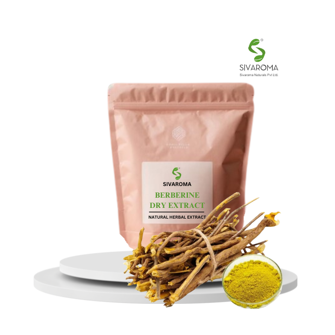 Industrial Grade Berberine Dry Extract Powder: Precision-Milled Yellow Extract for B2B Export and Bulk Ingredient Solutions