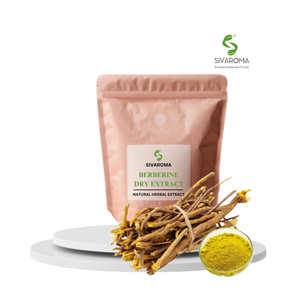 Industrial Grade Berberine Dry Extract Powder: Precision-Milled Yellow Extract for B2B Export and Bulk Ingredient Solutions