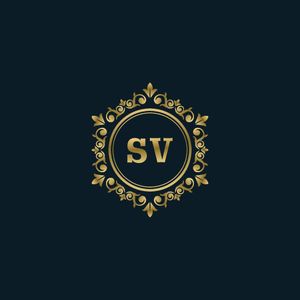 Company icon