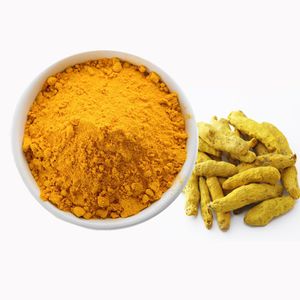 High Quality Natural Variety Curcuma Longa Ginger Raw Material Grinding Turmeric Powder for Tasty Food