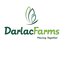 Company icon
