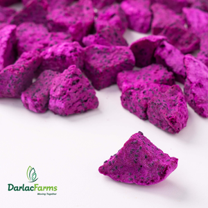 High Quality Bulk Freeze Dried Red Pitaya Darlac Farms Freeze Dried Red Dragon Fruit Powder Fruit Powder Red Dragon Fruit Powder