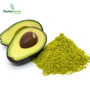Dried Avocado Fruit Powder Avocado Natural Freeze Dried Powder From Dak Lak Vietnam Bulk Packaging