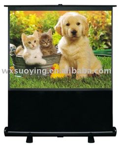 Floor Projection Screen