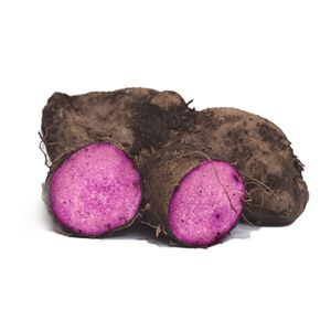IQF Frozen Purple Yam from an Van Thinh Food Company AVTFOOD Origin Vietnam Bulk Packaging