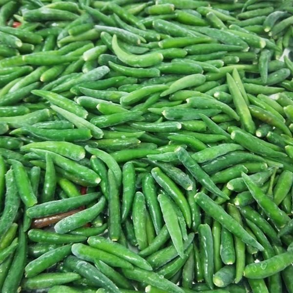 IQF Frozen Green Chilies without Stems Fresh Frozen Vegetables