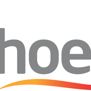 Company icon