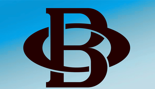 Xiamen Bo Stone Import and Export Co., Ltd. logo