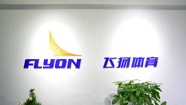 Shenzhen Flyon Sports Co., Ltd. Stadium Seating