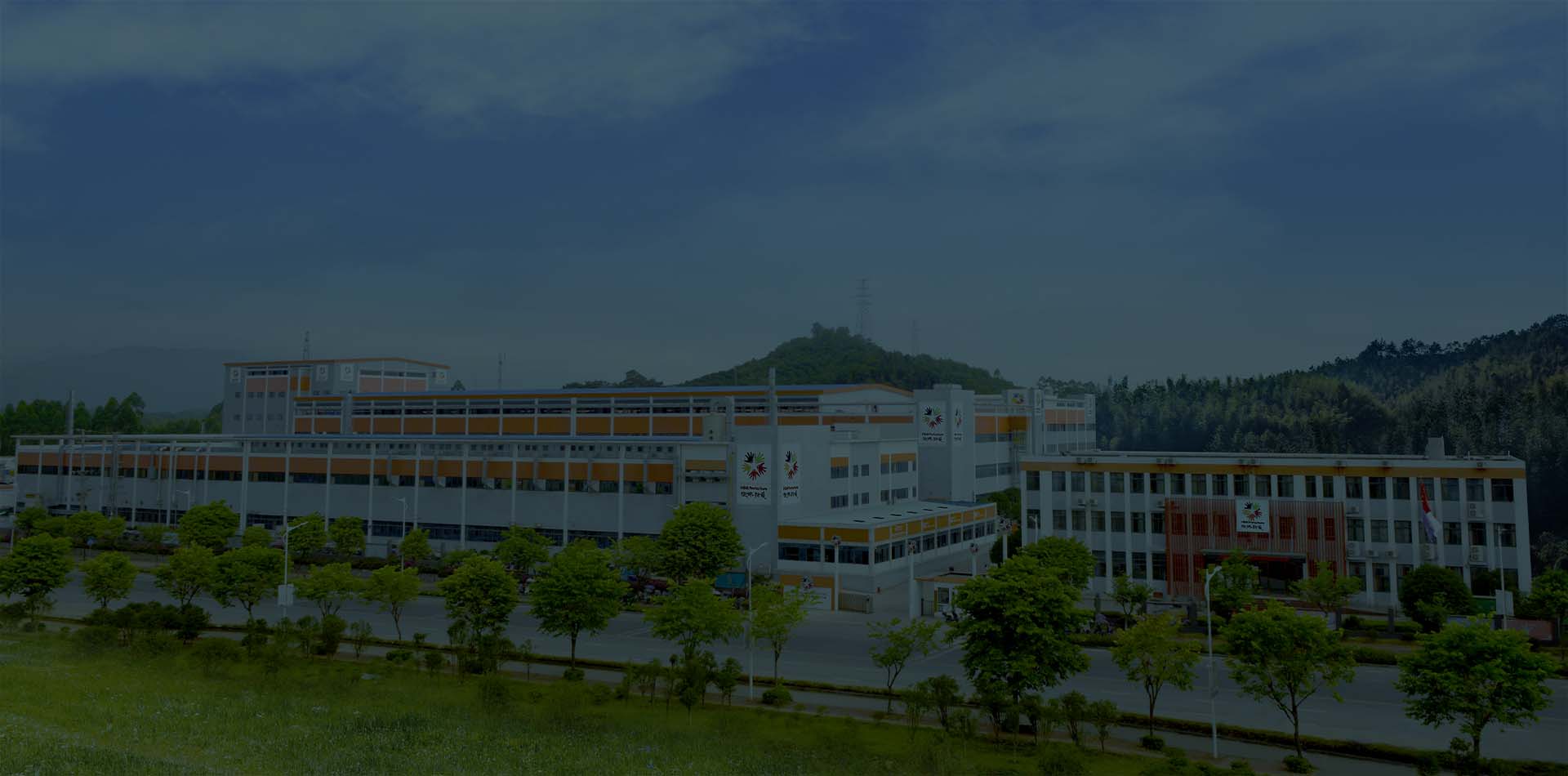 Zhonghong Pulin Medical Products Co., Ltd. Vinyl Gloves