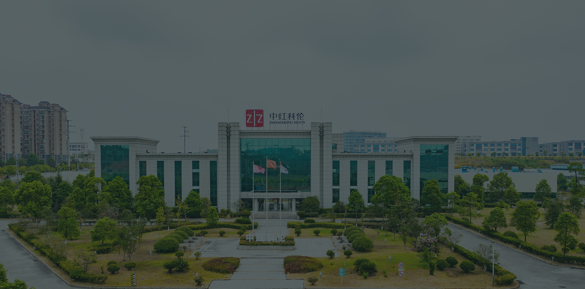 Zhonghong Pulin Medical Products Co., Ltd. Nitrile Gloves