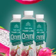 Qami - Dragon Fruit juice