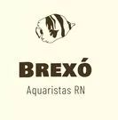 Company icon