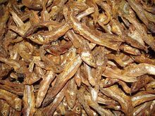 frozen fresh mackerel dried stock fish from thaiand