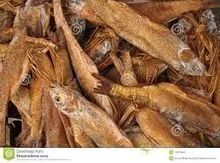 Norway Dried Stock Fish,Cod,Haithe,Haddock, Dried Stock Fish Heads