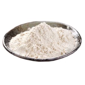 Pure Garlic Powder and Granulated Garlic Extract Powder Garlic Powder Dehydrated Best Quality
