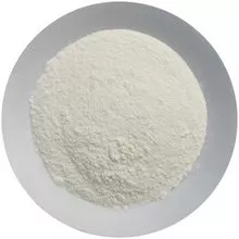 Garlic powder