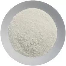 Garlic powder
