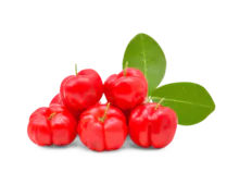 Acerola (Red/Green) - Pulp NFC, Juice Concentrate, Cloudy and Clarified