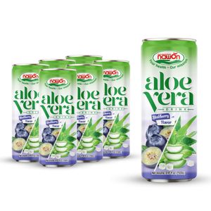 Best Price Vietnam Supplier Beverage OEM ODM Private Label Aloe Vera with Blueberry Juice Fresh Drink Fruit & Vegetable Juice