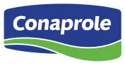 Company icon