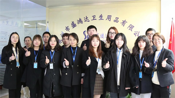 Shenghongda Hygiene Products Co., Ltd. Sanitary Napkins