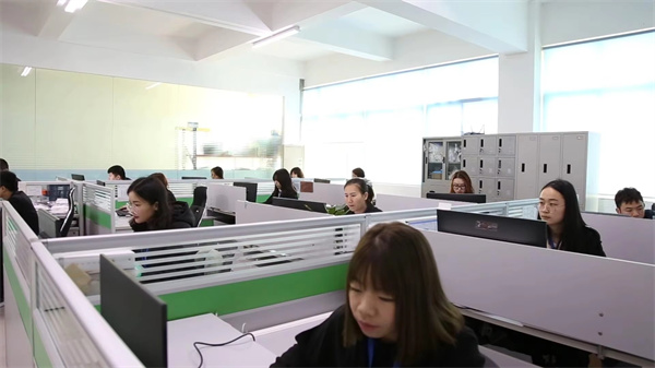 Shenghongda Hygiene Products Co., Ltd. Adult Diapers