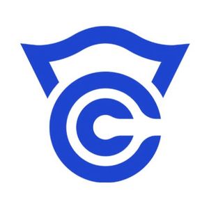 Company icon