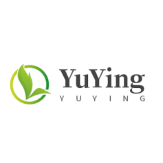 Company icon