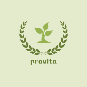 Company icon