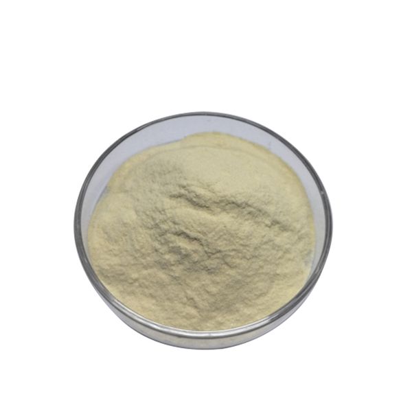 Customizable Probiotic Powder Raw Material Leuconostoc Mesenteroides HLM8